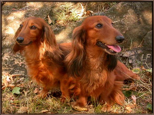 foto Lenka Fairaislova