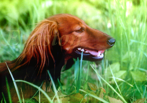maj 2006r