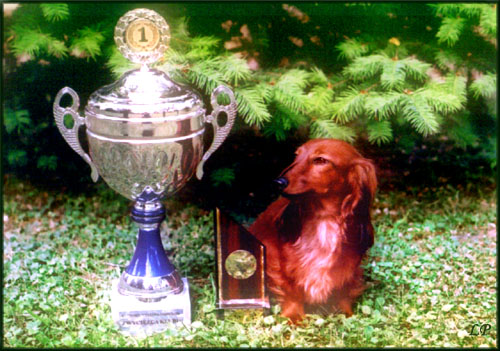 CH.PL ZWYCI�ZCA KLUBU 2006r QUOMTESS vom Rainerschl�ssl