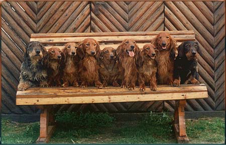 Hodowla z Plesneho Jezera