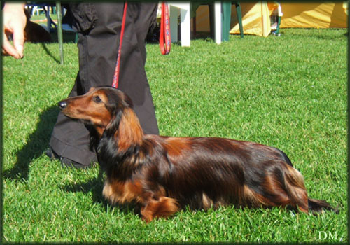 Wystawa Krajowa w Warszawie - wrzesie� 2006 r