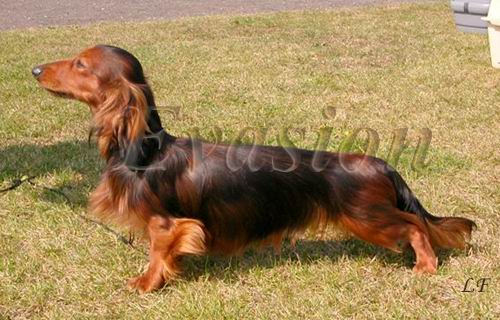 foto: Lenka Fairaislova