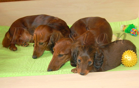 s�odkie lenistwo :)