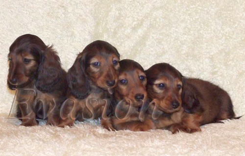 foto Anna Kozłowska