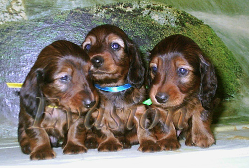 foto : Lucyna Pasierbek