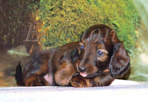 foto : Lucyna Pasierbek