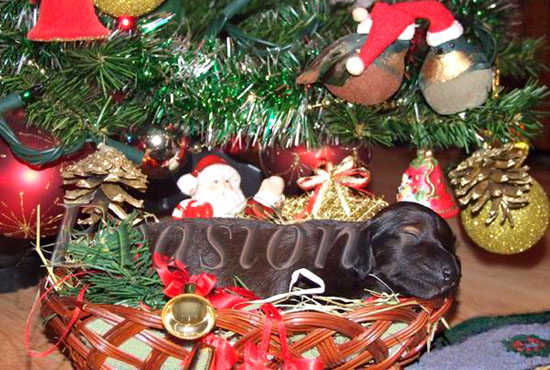 foto Anna Kozłowska