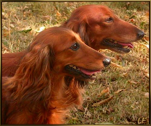 foto Lenka Fairaislova