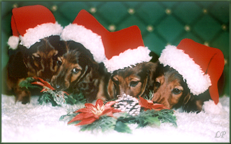 FOR YOU, FLAMENCO, FEMME FATALE i FAIR PLAY  8 tyg.