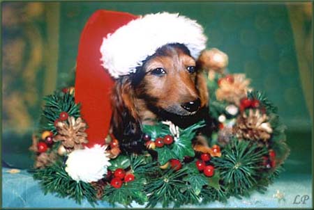 FEMME FATALE Ma�a Amantka 8 tyg.