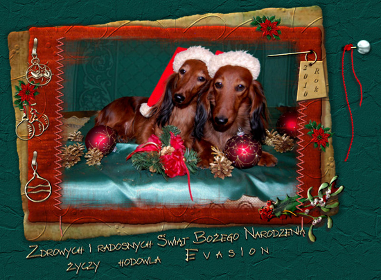 Evasion VANESSA i MIRABELL